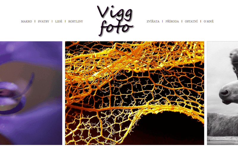 www.Vigg-Foto.cz
